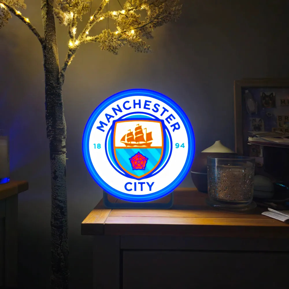 ELISO Silver Speed Light Box