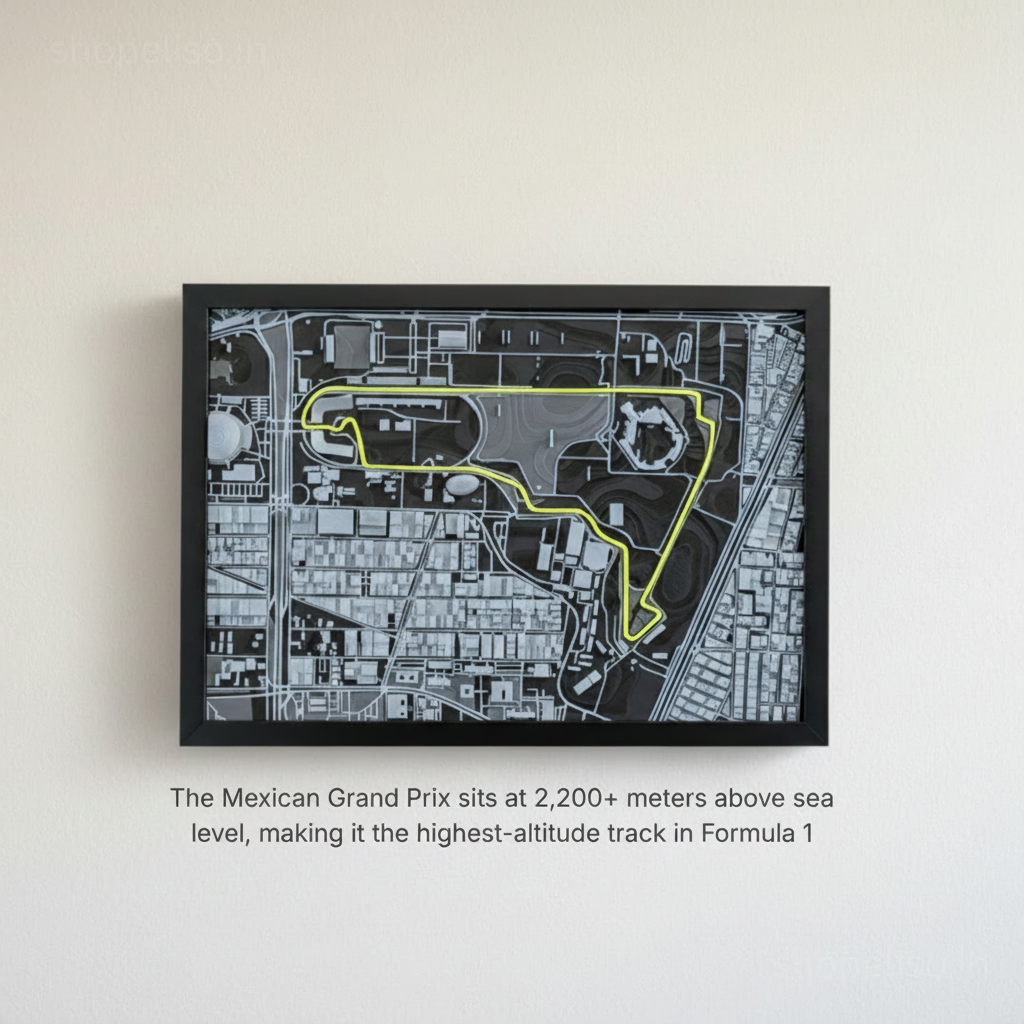 ELISO Mexican Grand Prix Circuit Miniature