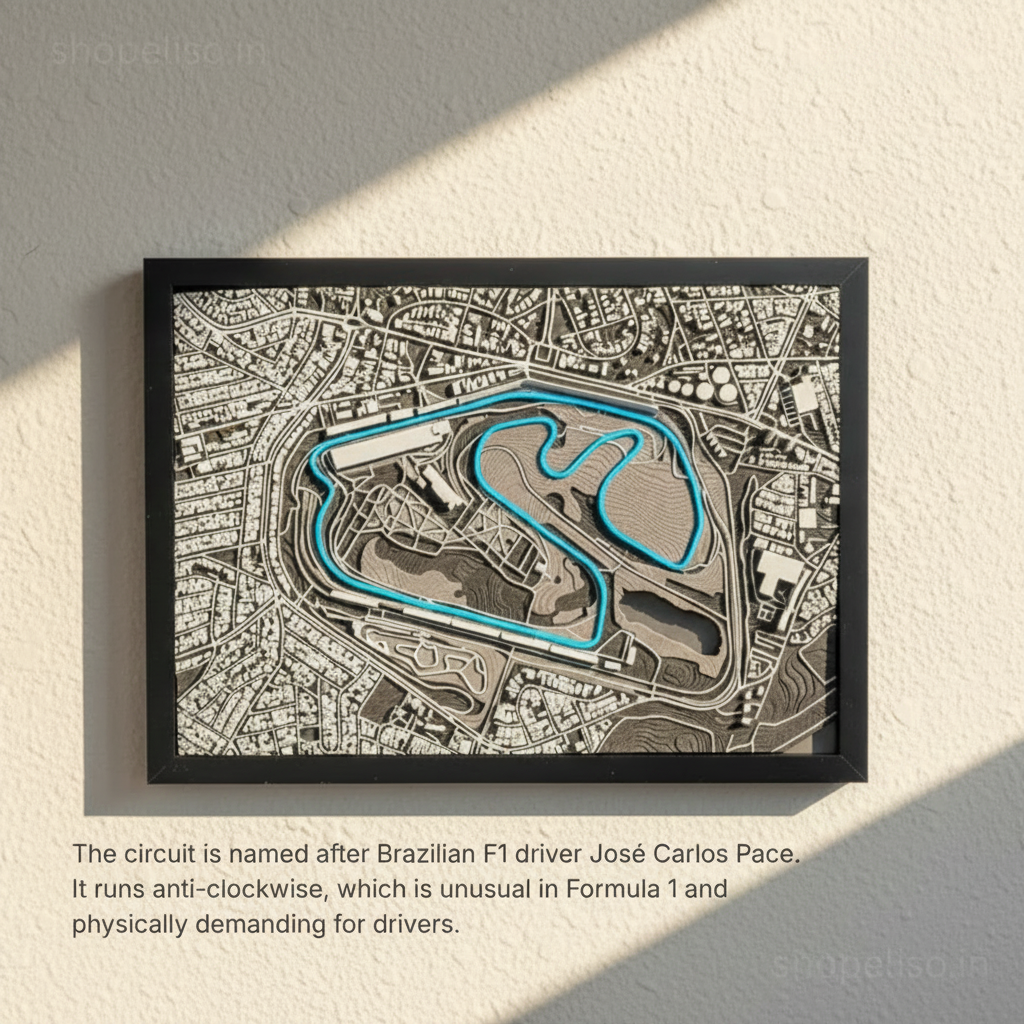 ELISO Interlagos Brazil Circuit Miniature