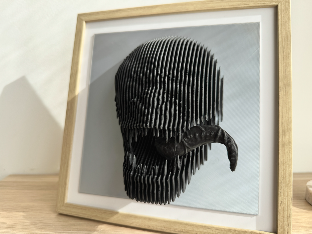 ELISO Symbiote Shadow Layered Sculpture Wall Art