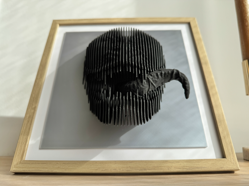 ELISO Symbiote Shadow Layered Sculpture Wall Art